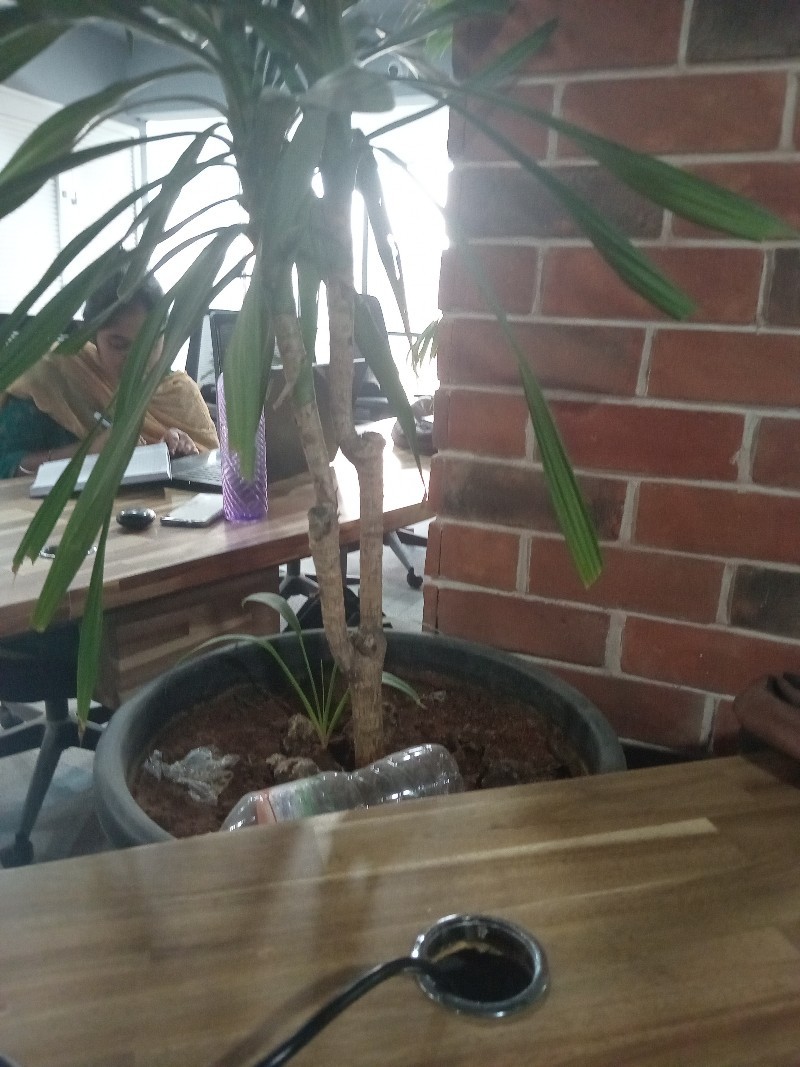 Test_march
